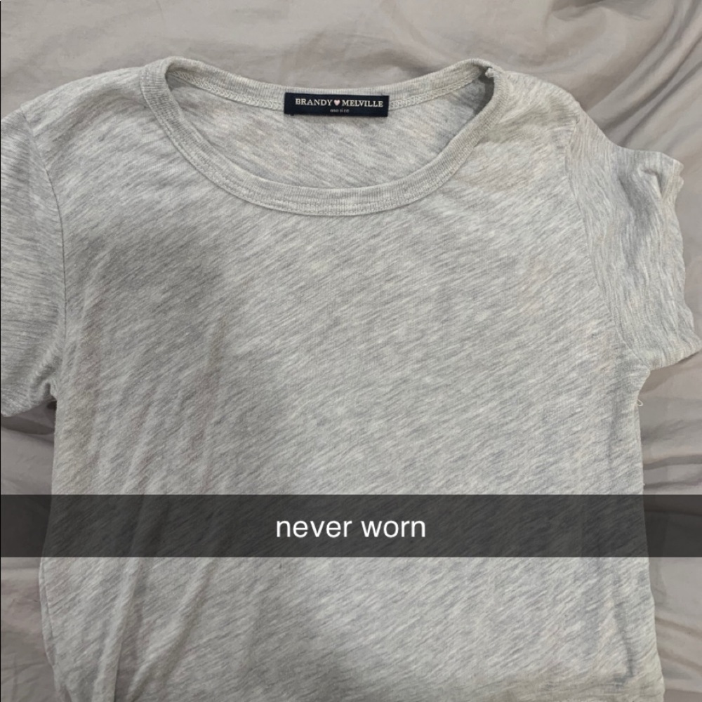 brandy melville grey crop top